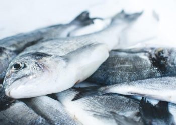 How to Reduce Seafood Waste and Loss